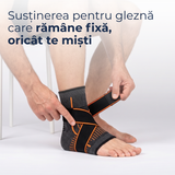 Glezniere cu Benzi de Compresie – Delfino® — imaginea 2