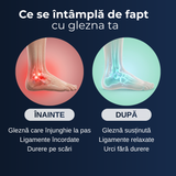 Glezniere cu Benzi de Compresie – Delfino® — imaginea 7