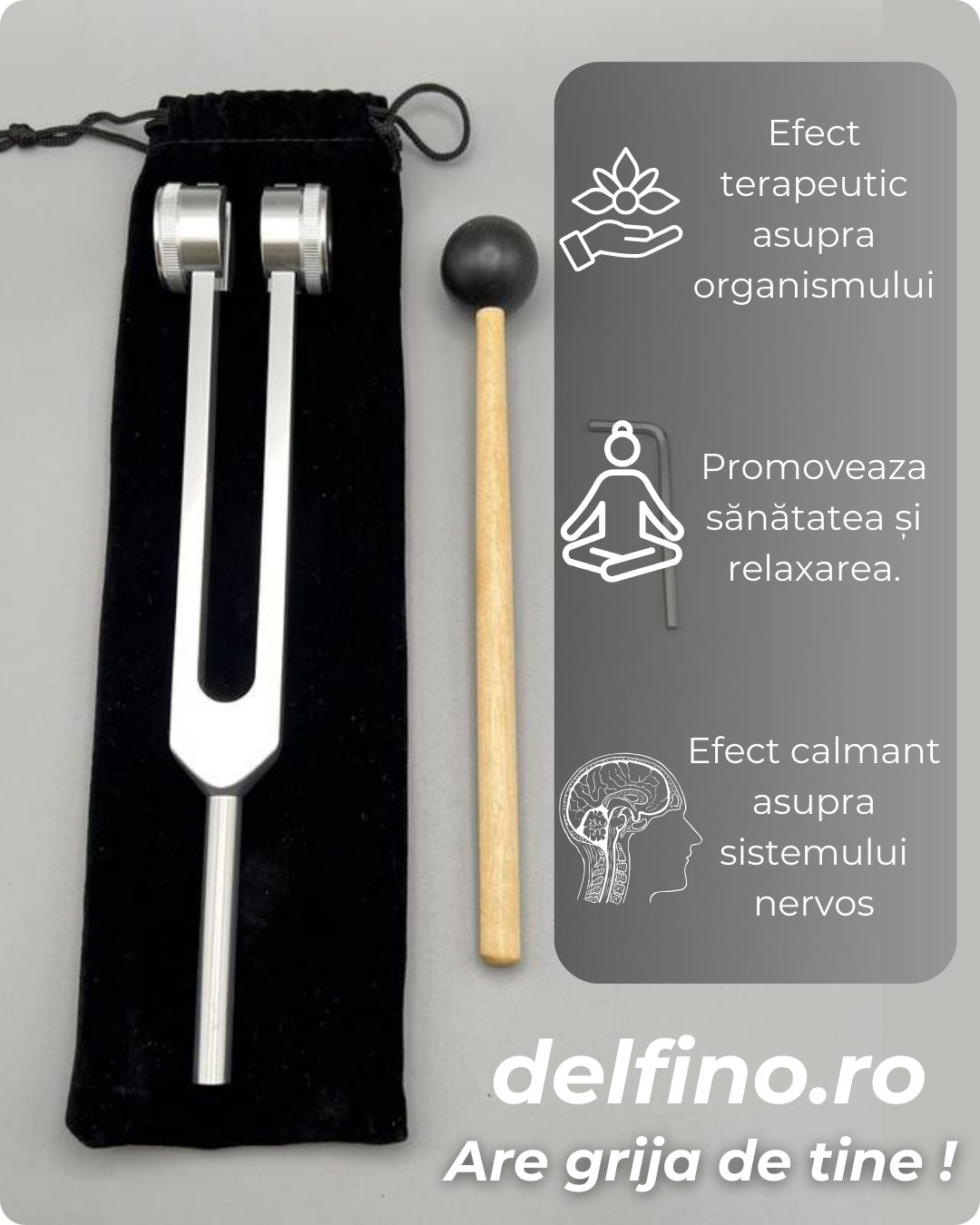 Diapazon Medical - Delfino®